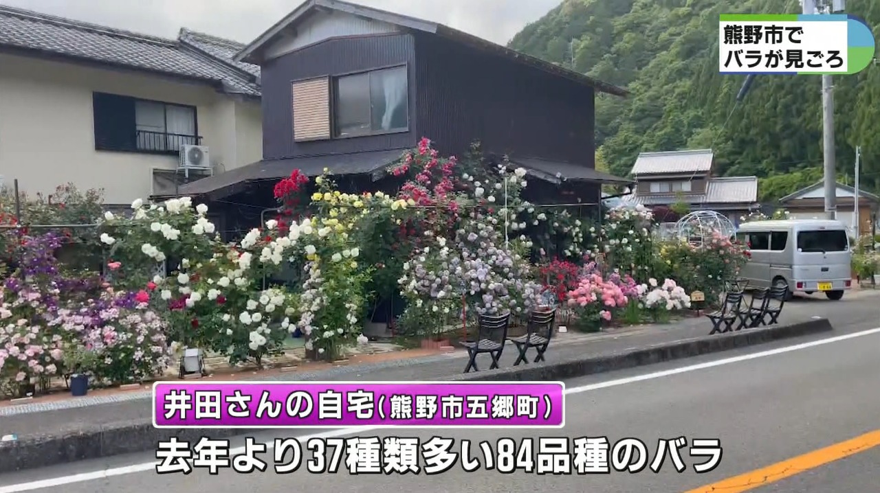 【裁断済み】【バラ売り可】画像診断2024年1,2,4〜11月号 (増刊号なし) フォトスポットも 84品種のバラが咲き誇る | 県内ニュース | 三重