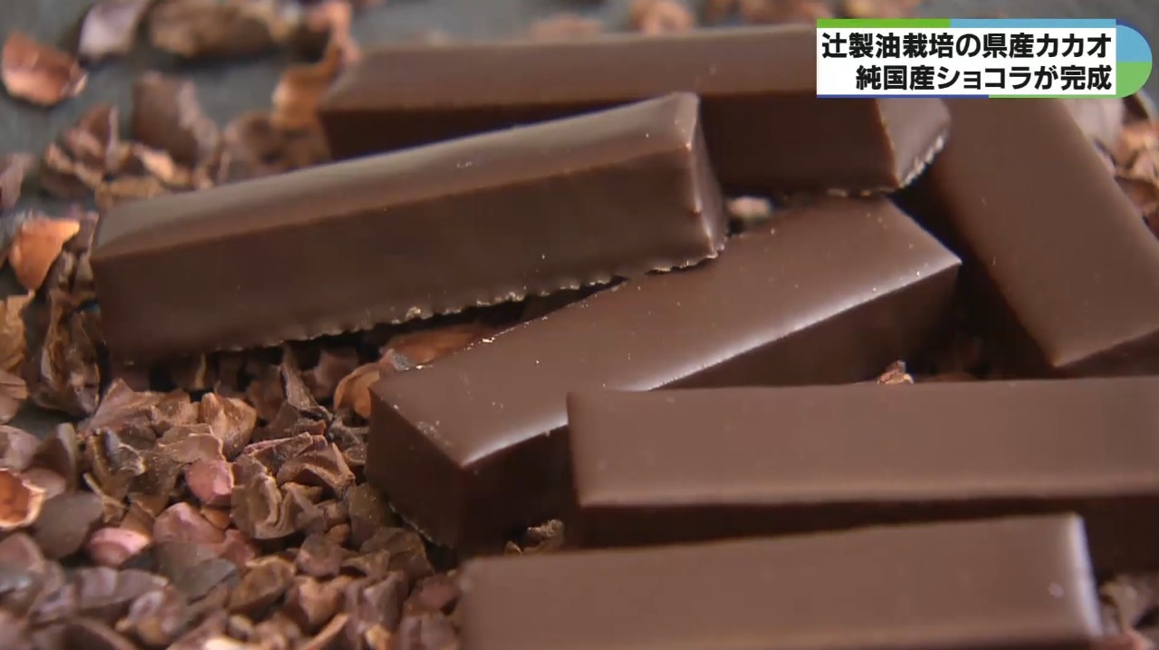 カカオ高騰の中、純国産チョコが完成 VISONで4年かけ栽培から製造まで