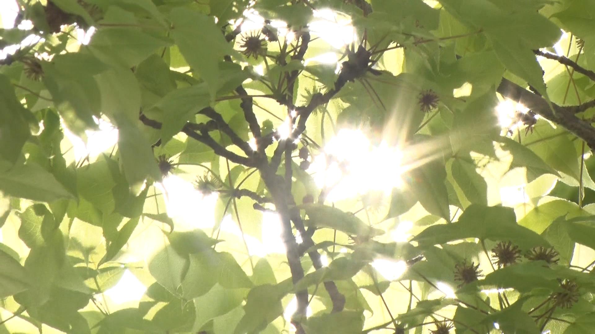 三重県で季節外れの暑さ　鳥羽市で29.1度　4月の観測史上最高