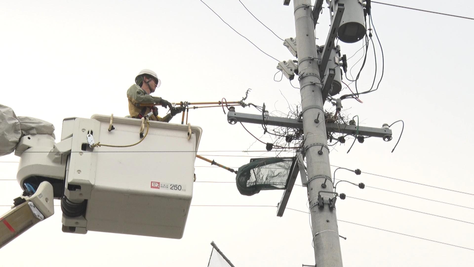 漏電や停電の原因に　電柱のカラスの巣を撤去