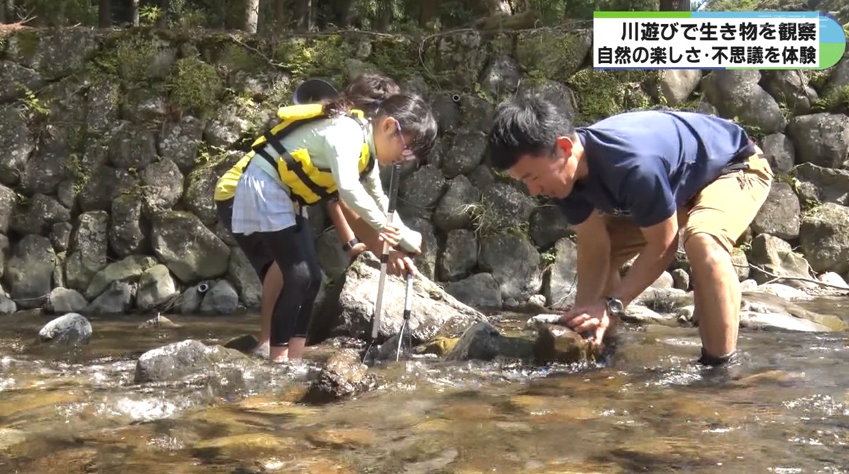 小さなアマゴやハゼの仲間など　親子で川の生き物を観察