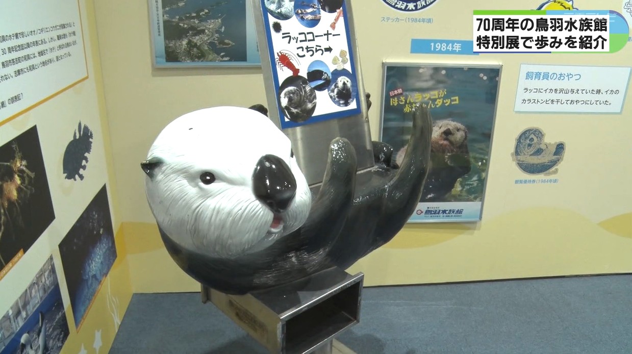 第一次ラッコブームに関する展示も　壁一面に70年の歴史　特別展