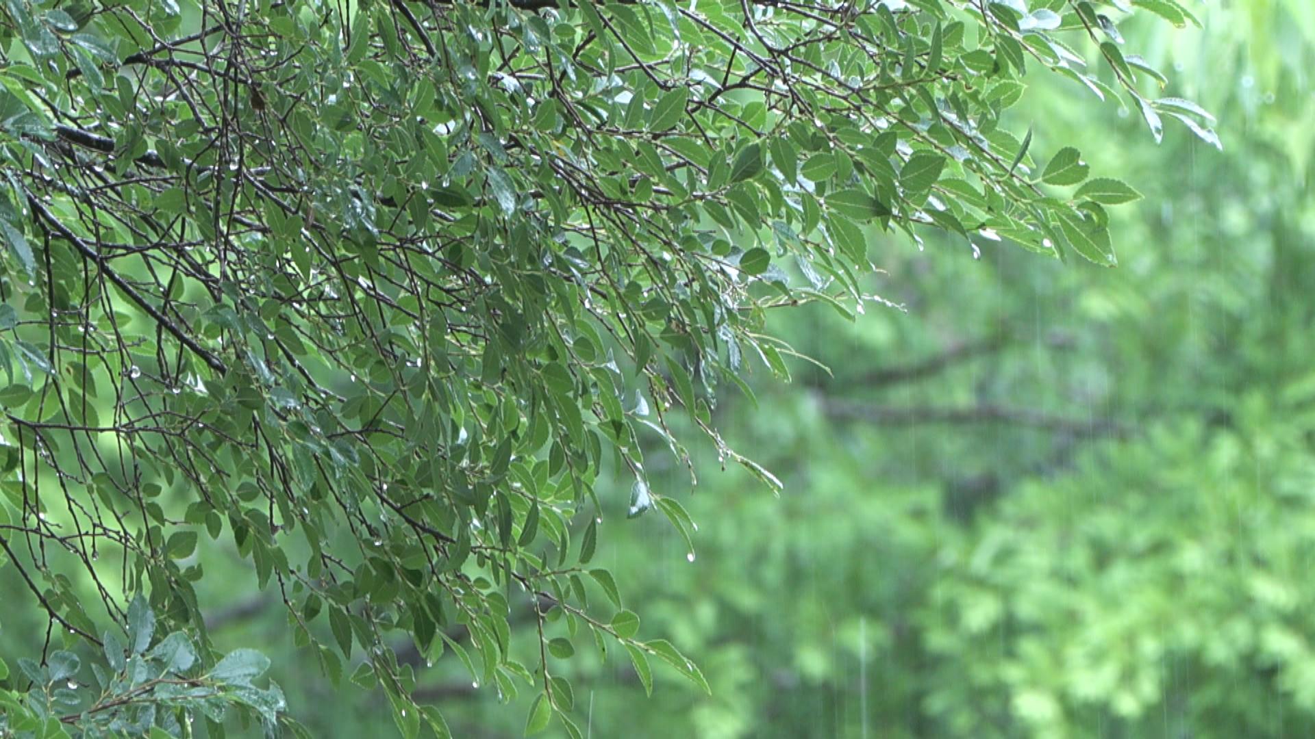 急な強い雨や落雷、突風などに注意