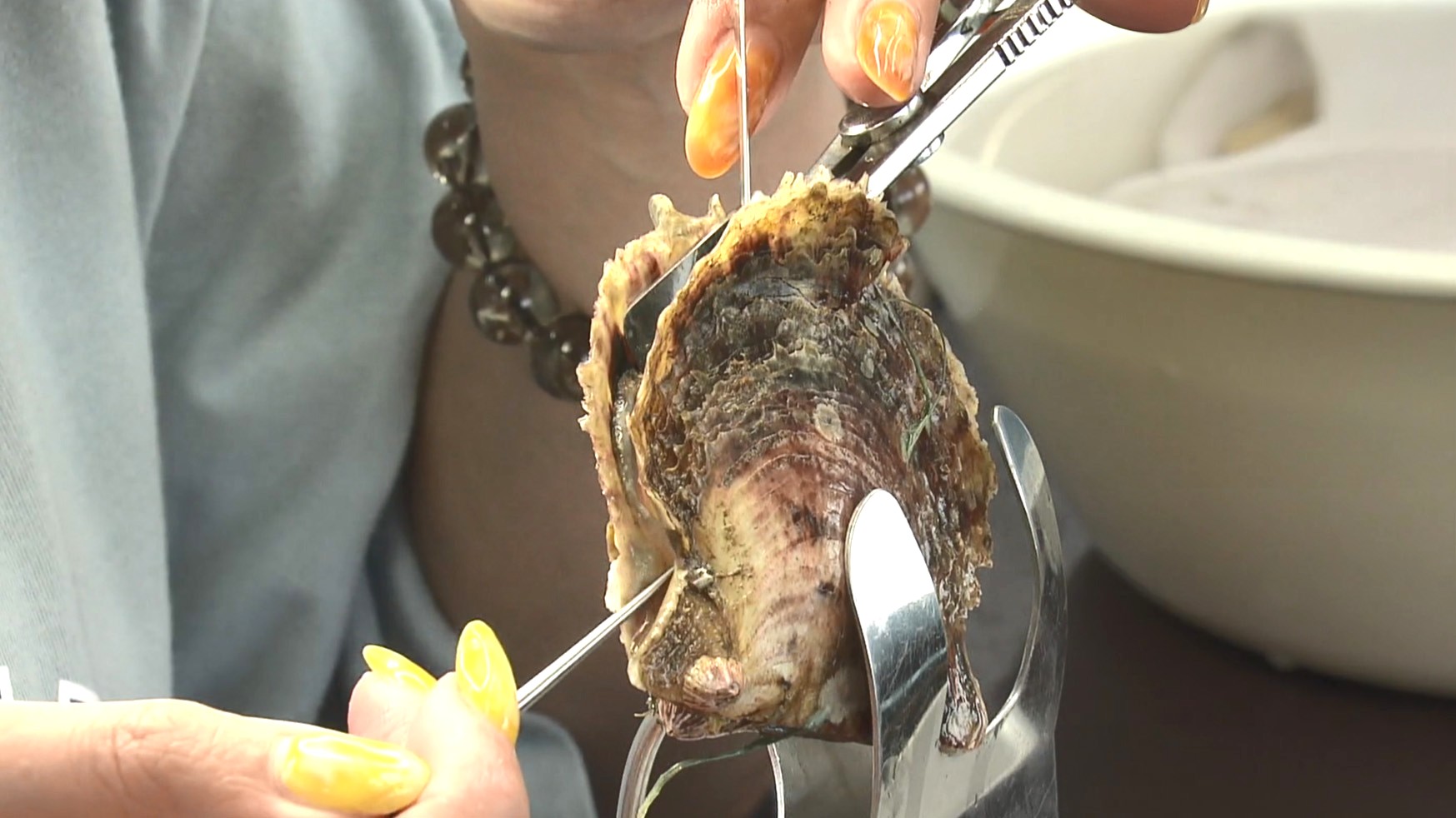 1ミリのアコヤ貝に興味津々　園児が真珠養殖を見学