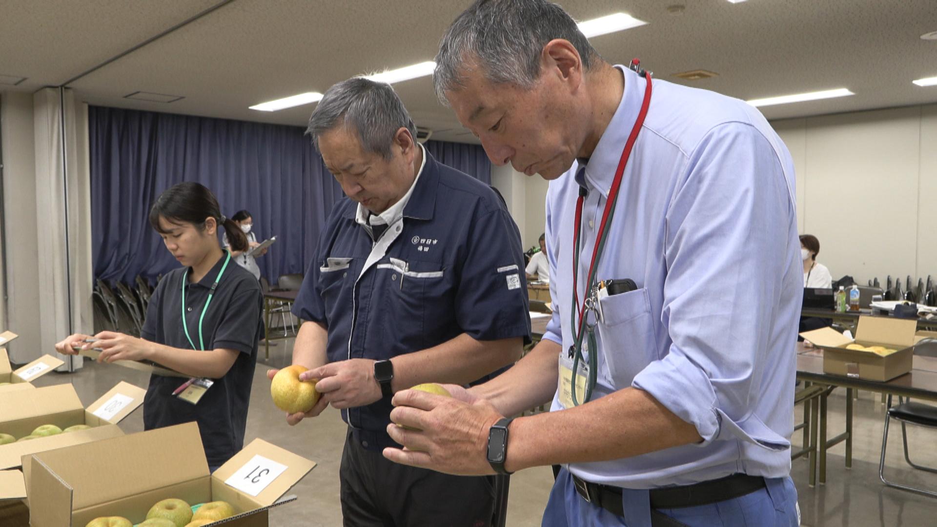 出荷ピーク　県内産の梨の品評会　