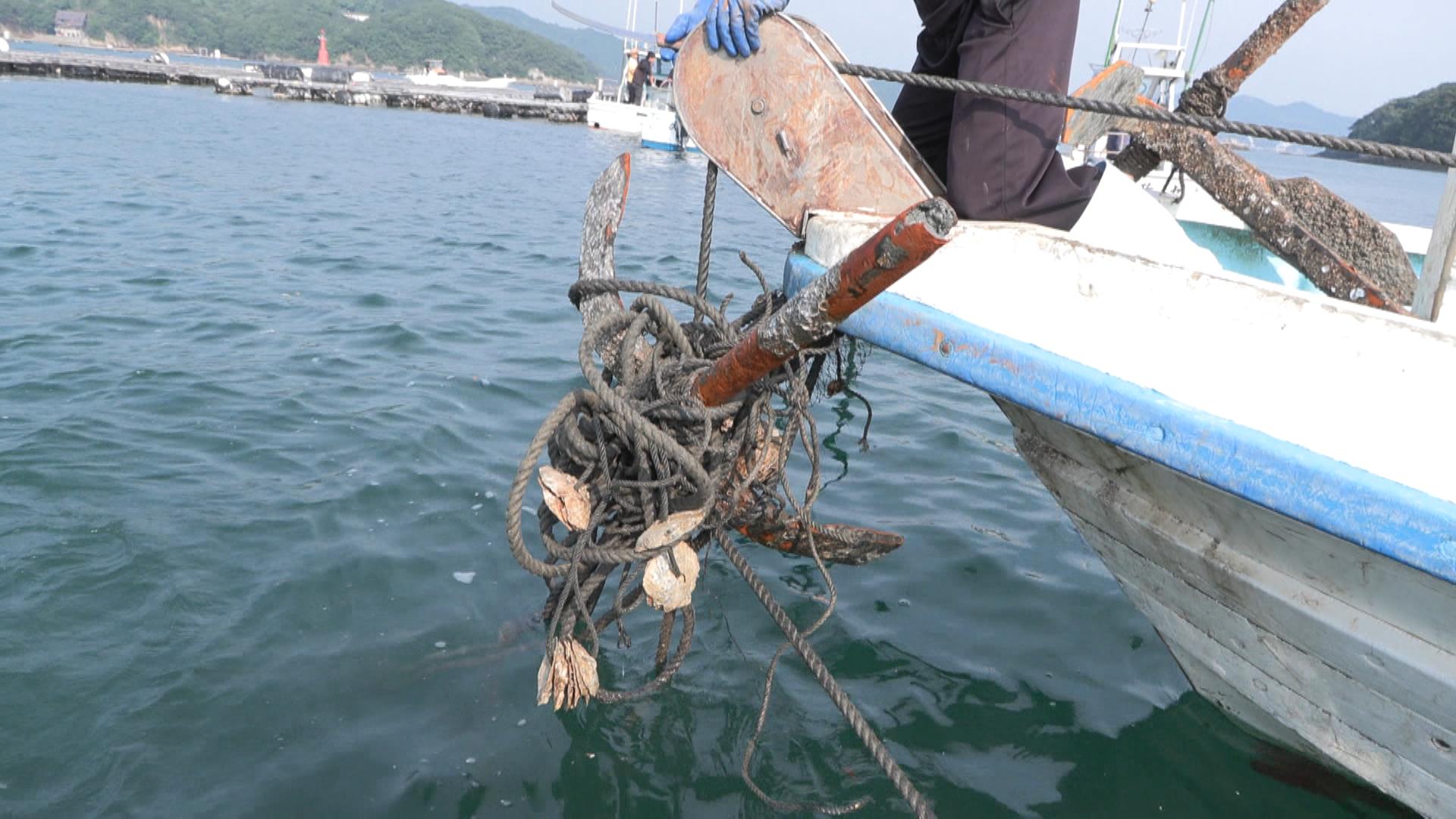 津波被害受けたカキ養殖筏　三重県が緊急支援