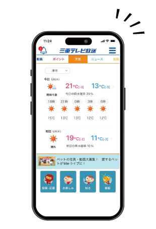 20241220現在の状況