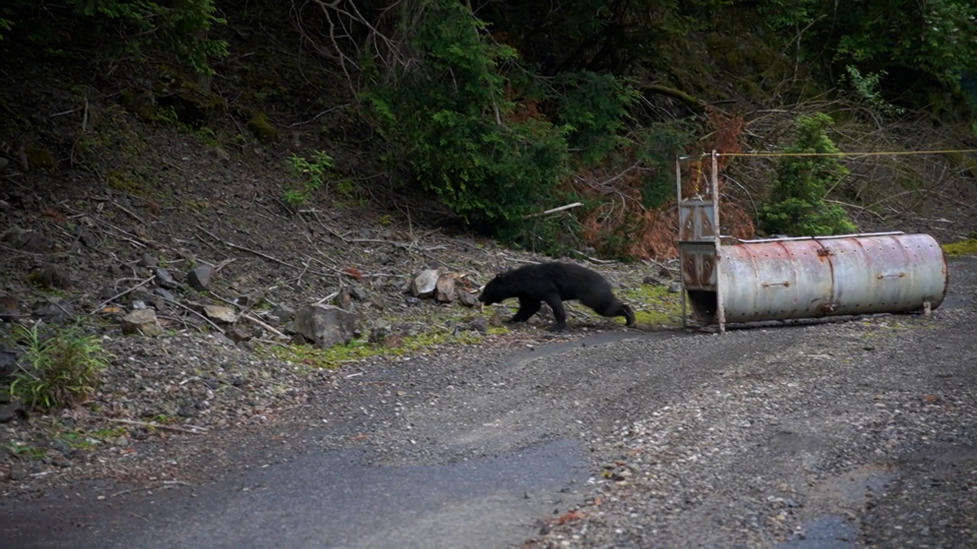 クマ対策や学校への盗撮カメラ探知機の配備など　補正予算案を発表