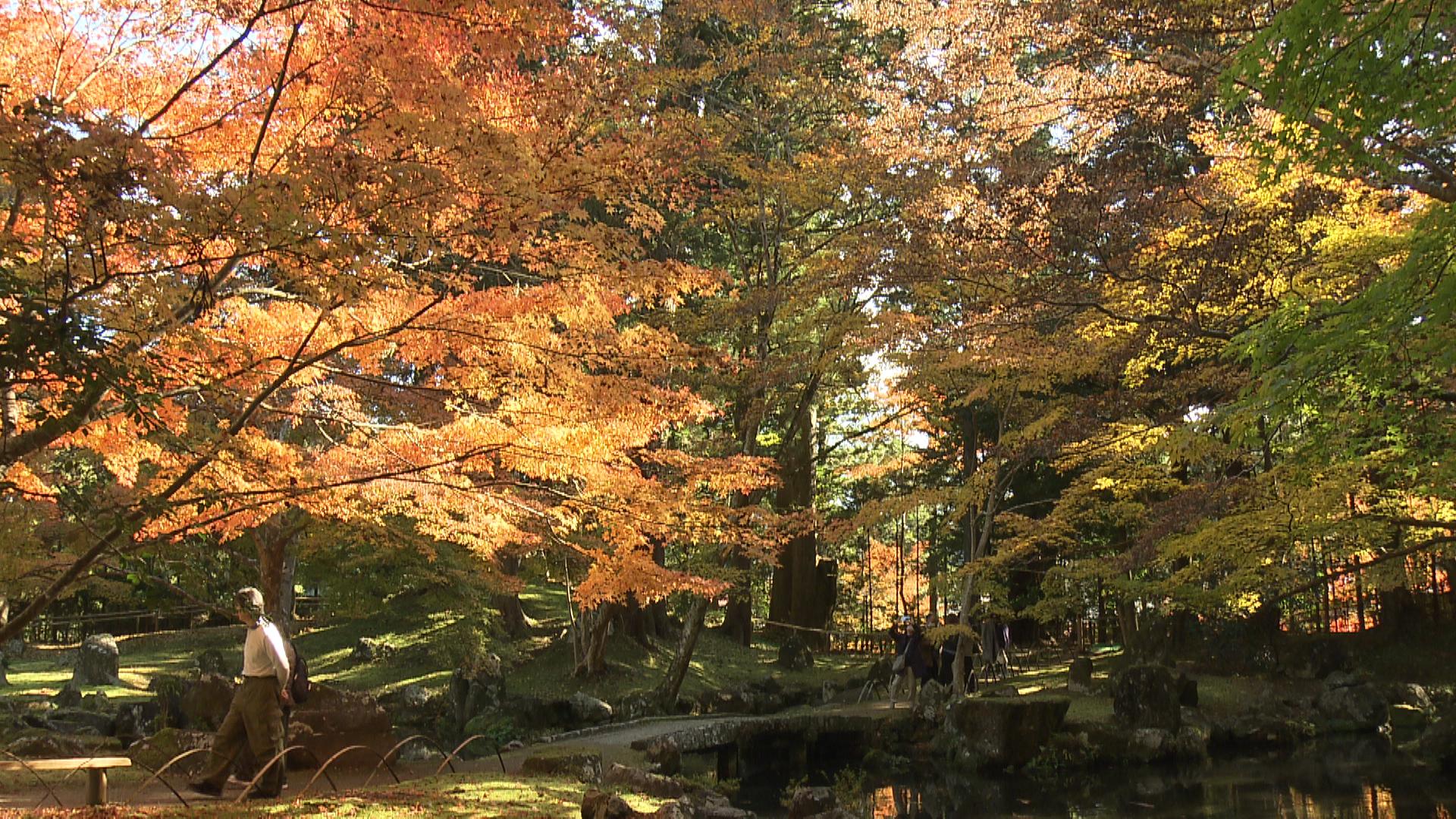 水面に映る赤や黄色　北畠氏館跡庭園で紅葉見ごろ　三重・津市