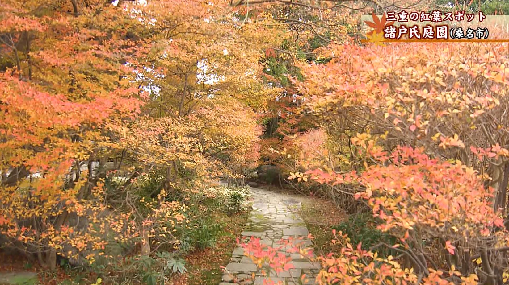 明治から大正時代の建築物と楽しむ　風情あふれる紅葉