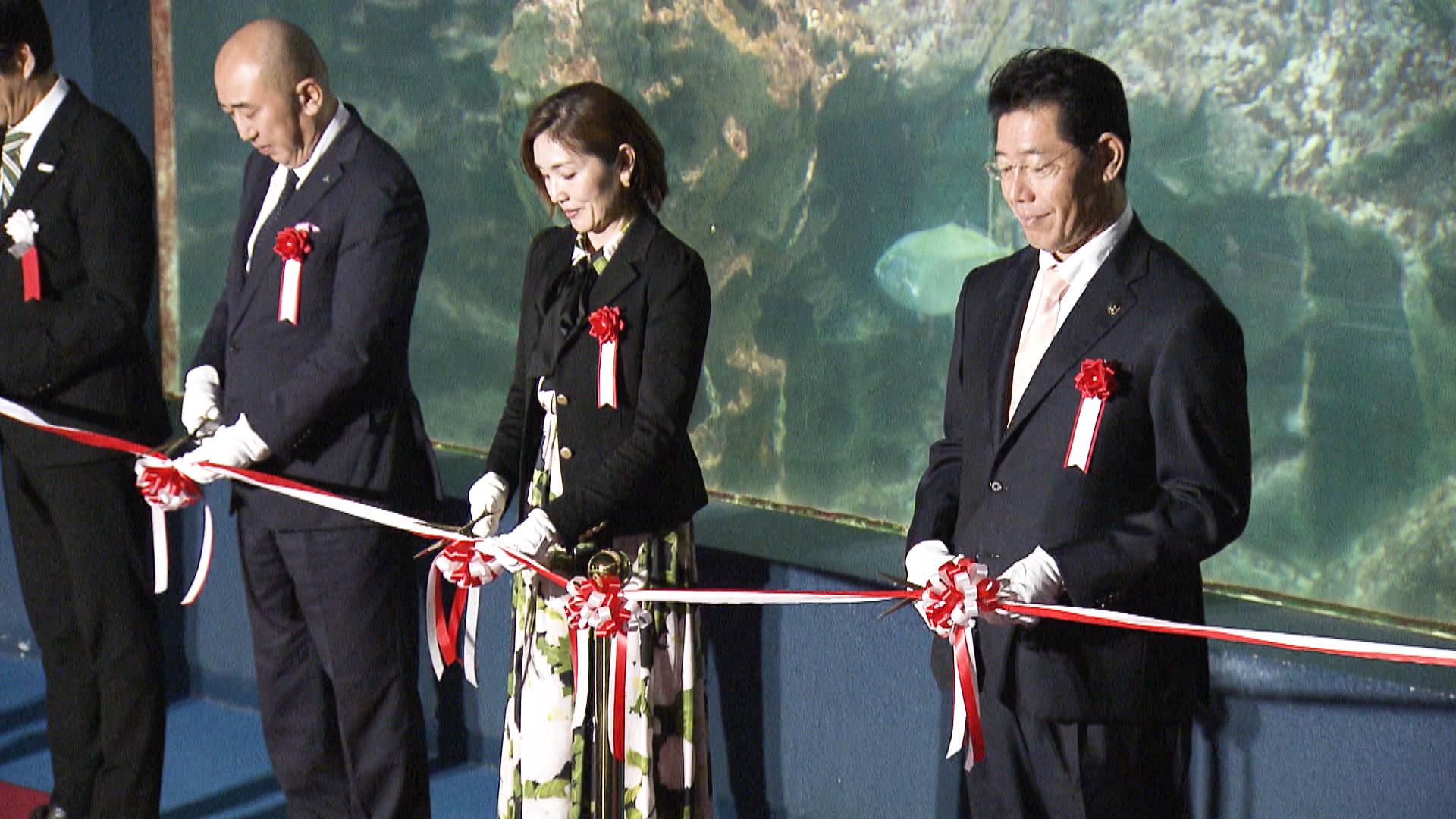 デジタルアートで水槽を眺めながら伊勢参りを体験　伊勢シーパラダイス