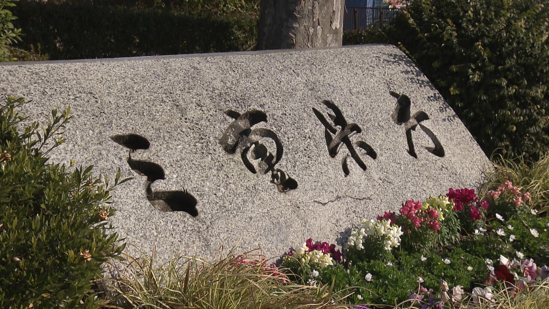 指定避難所の実態調査結果を初公表　「1人3.5m²以上」確保はわずか4.9％　