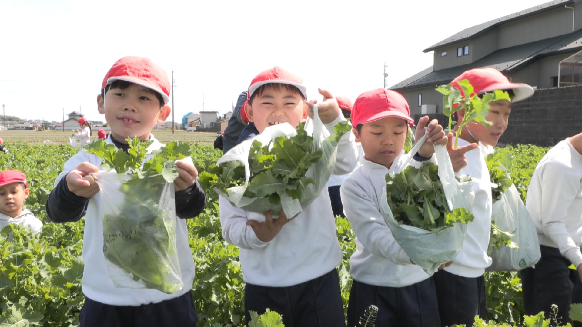 「一週間なばな生活に」　子どもたちが収穫体験