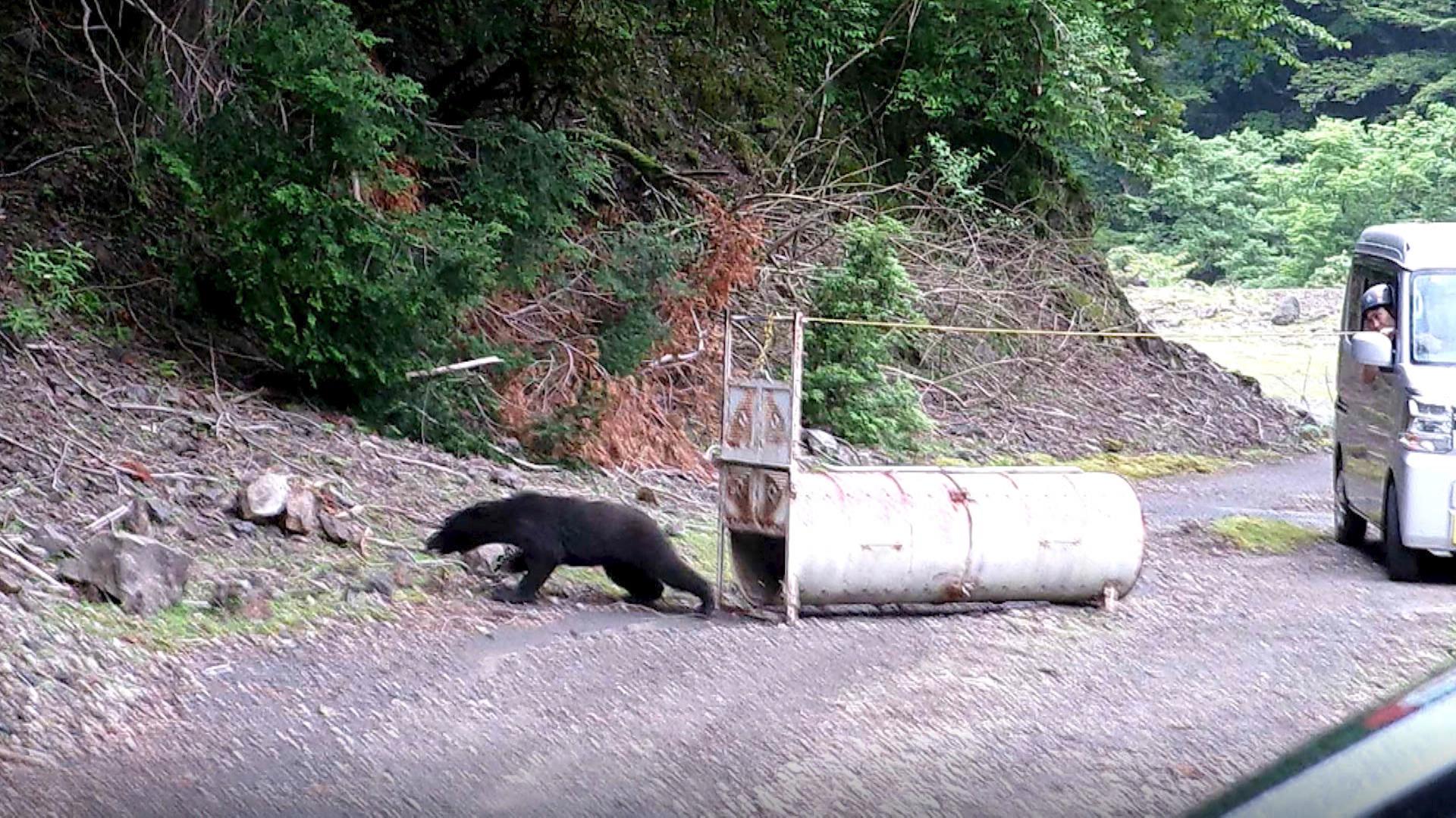 山に入る際は単独行動避けて　冬眠時期でもクマが三重県内各地で出没