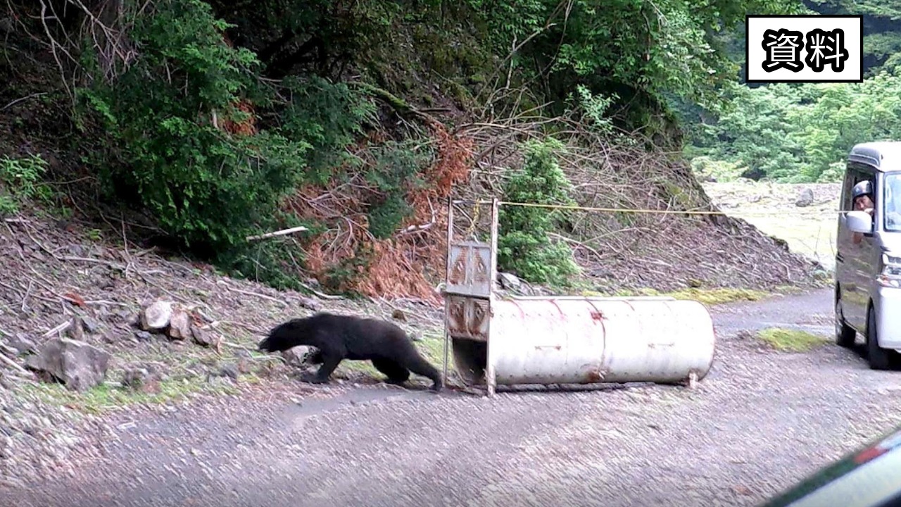 山に入る際は単独行動避けて　冬眠時期でもクマが三重県内各地で出没