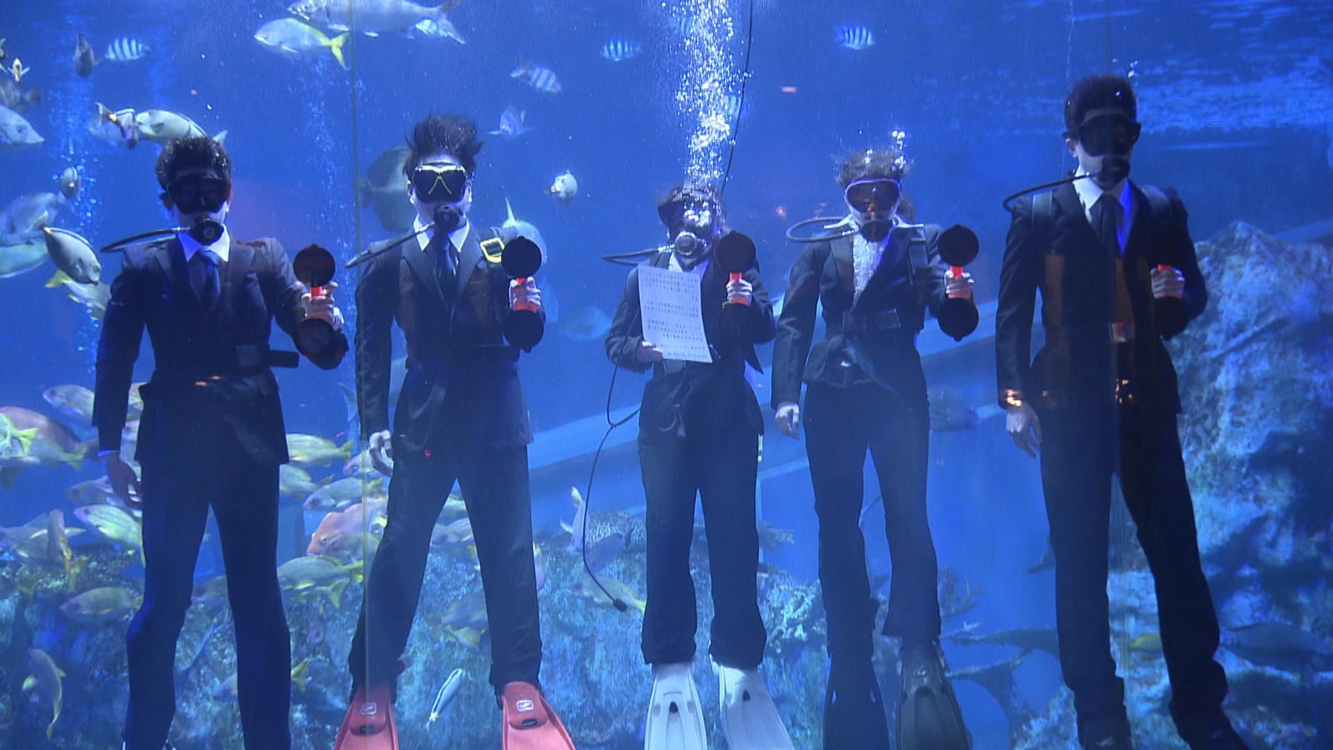 スーツで酸素ボンベ背負い大水槽へ　鳥羽水族館の「水中入社式」　