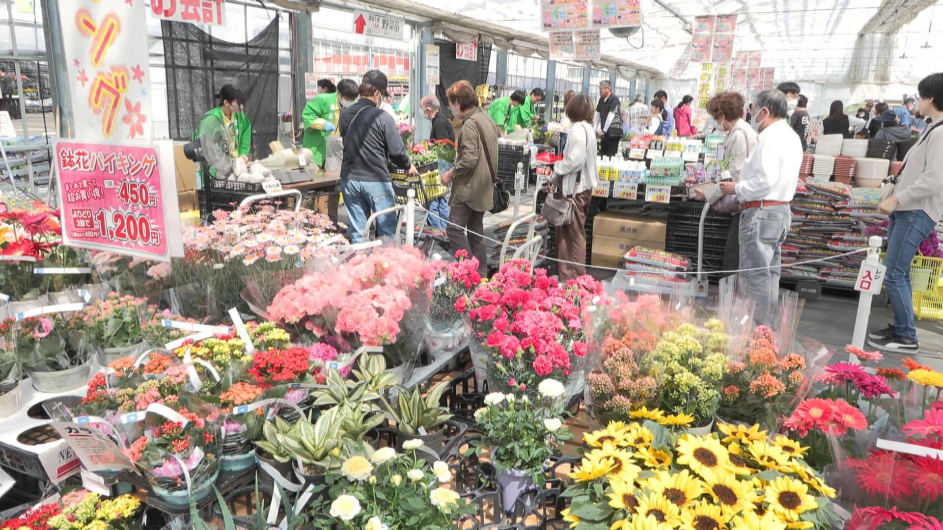 「農場祭」で花の鉢植えや夏野菜の苗がお値打ちに　甘夏の詰め放題も