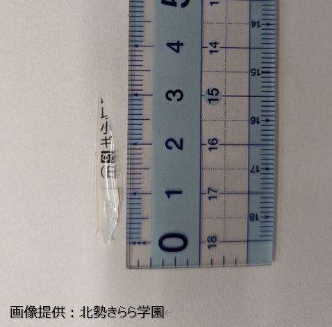 学校給食「なめこ汁」にビニール片混入