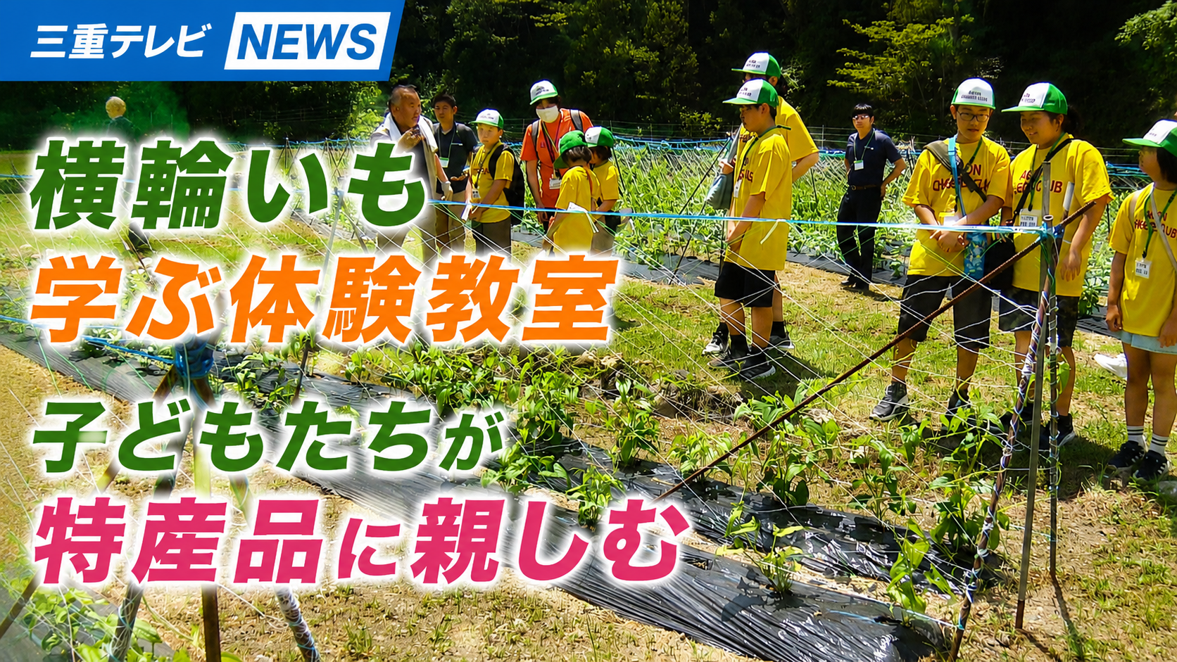 横輪いも学ぶ体験教室　子どもたちが特産品に親しむ　