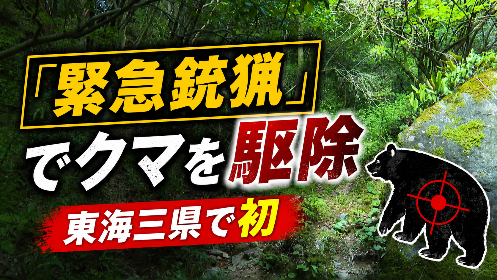 「緊急銃猟」でクマを駆除　東海三県で初　