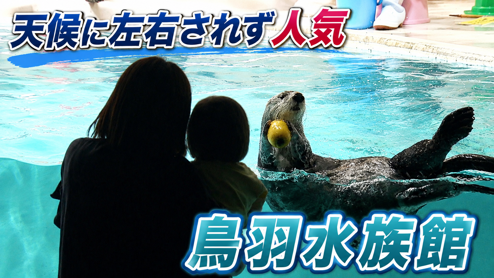 天候に左右されず人気　鳥羽水族館　