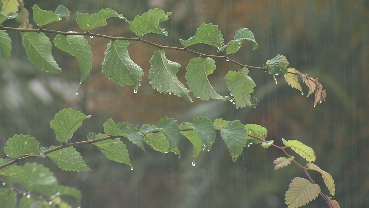 三重県で線状降水帯発生のおそれ　今夜はじめごろから7日朝にかけて