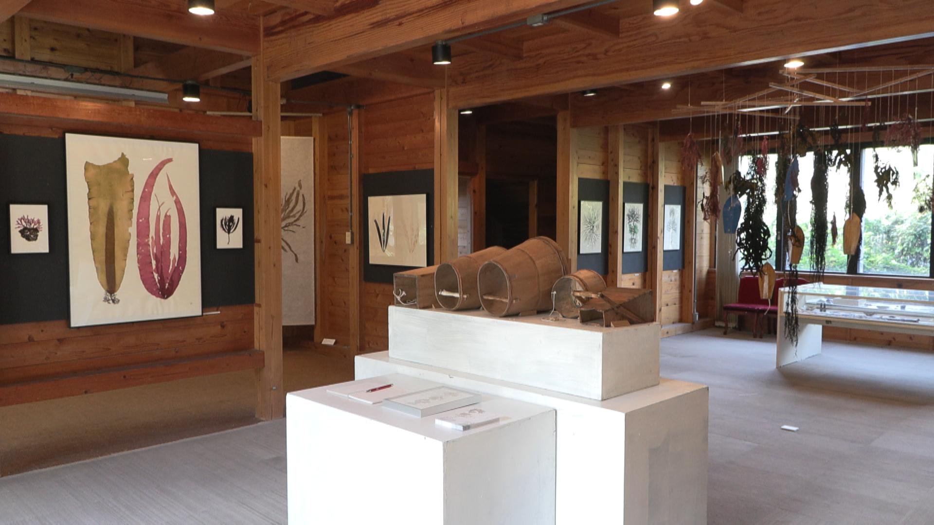 海藻の魅力をアートで表現　鳥羽市の海の博物館で作品展　