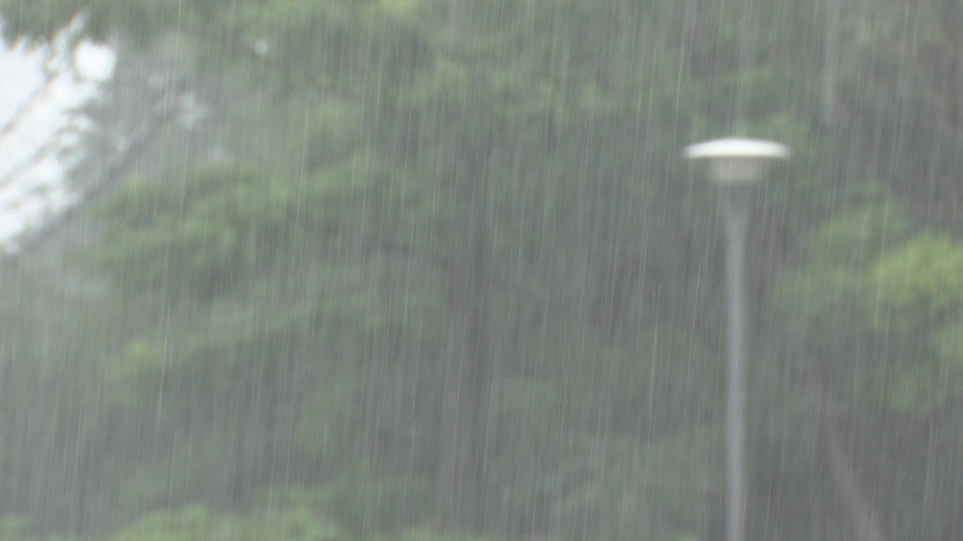 なぜ台風が頻発？　「エルニーニョ」が影響か