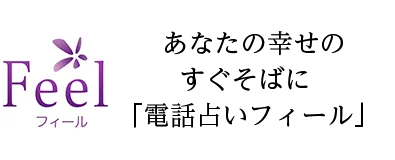6位：電話占いフィール