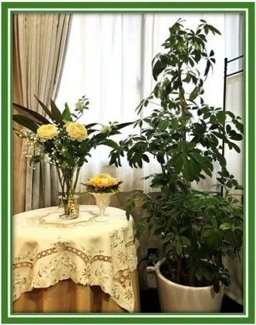 札幌占い ビッグフォーチュンの店舗情報