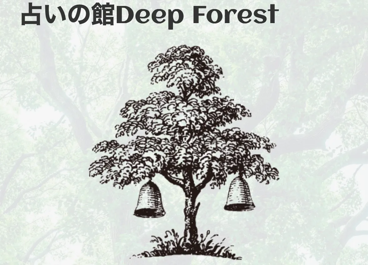 DeepForestの店舗情報