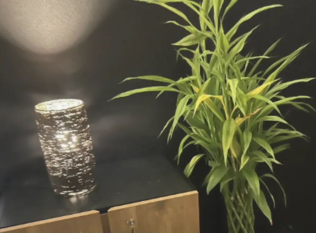 名古屋 栄 占いsalon ちゅらきゅら（占いサロン）の店舗情報