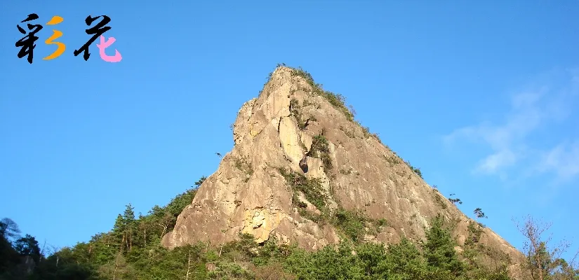ブティック彩花の店舗情報