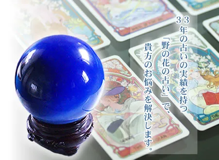 タロット占い 野の花の店舗情報