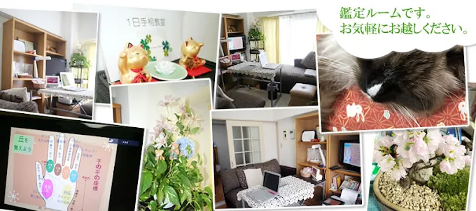 フォーチュン・クローバーの店舗情報