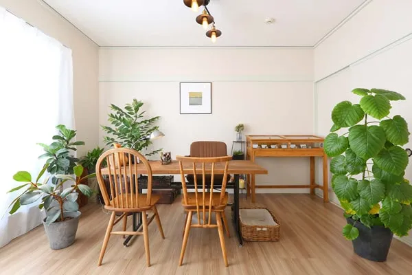 Palm&Linesの店舗情報