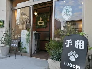 占い館BCAFE 千葉柏店の店舗情報