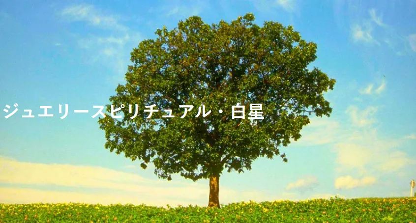 ジュエリー スピリチュアル・白星の店舗情報