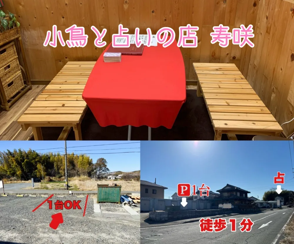 小鳥と占いの店 寿咲の店舗情報