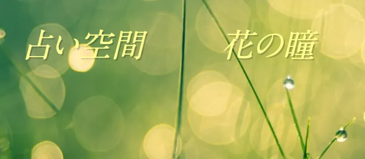 占い空間花の瞳の店舗情報
