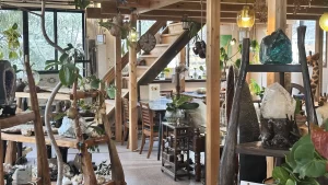うさぎの穴 Wonder Holeの店舗情報