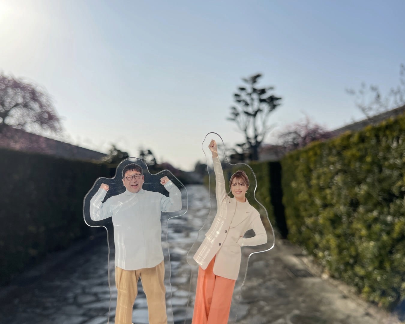 プレゼント