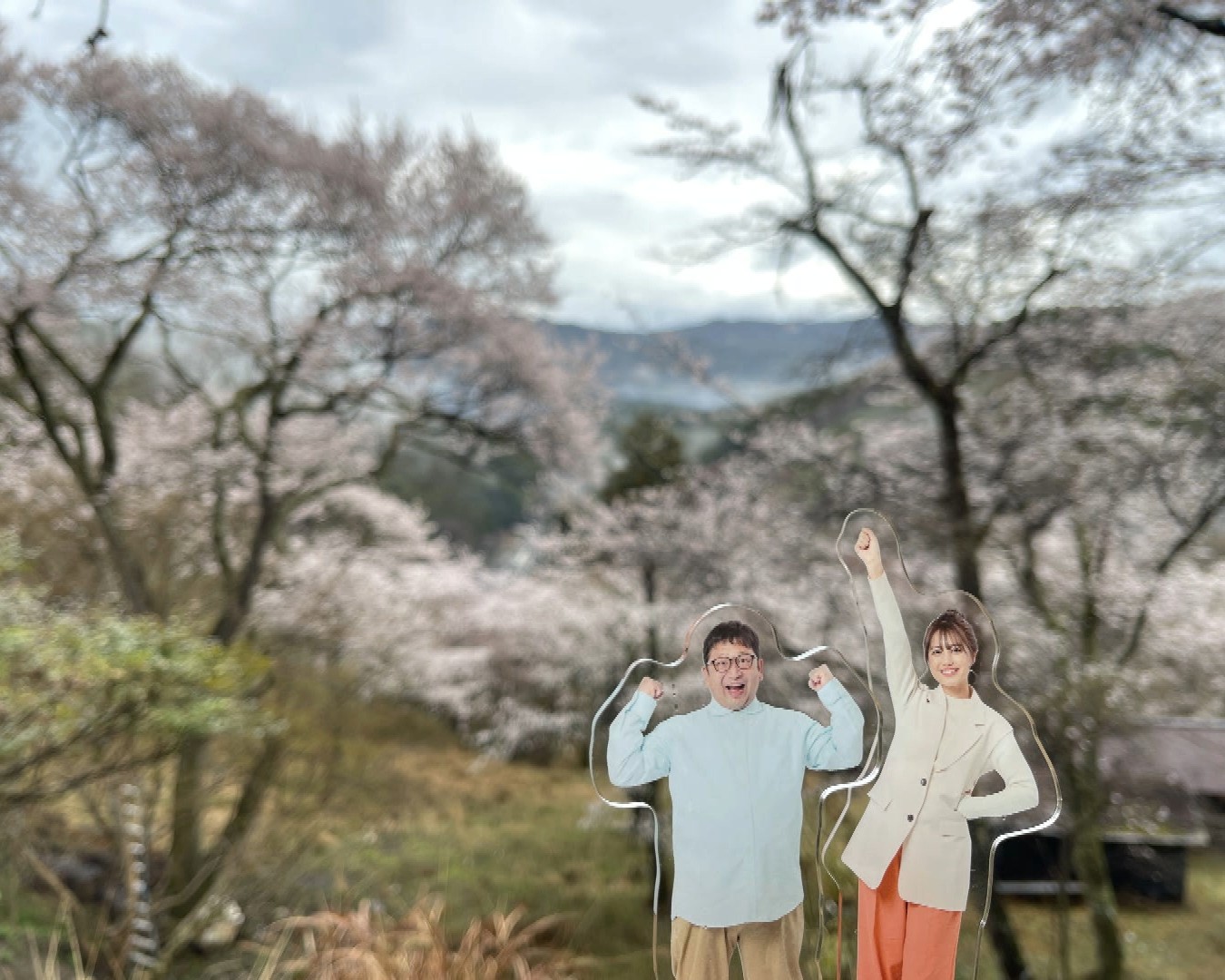 おさらい